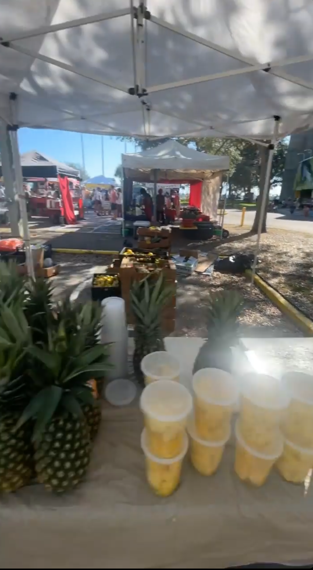 Freshly Cut Pineapple